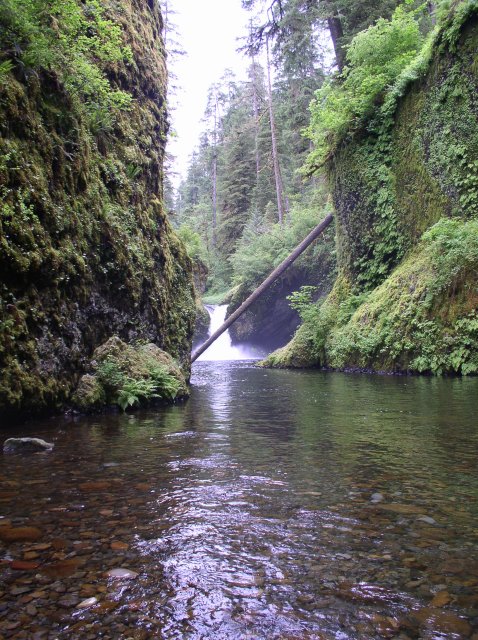 6.03.06 Eagle Creek 015 